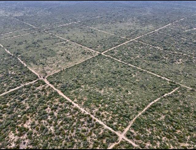 FARM FOR SALE IN SENTRUM